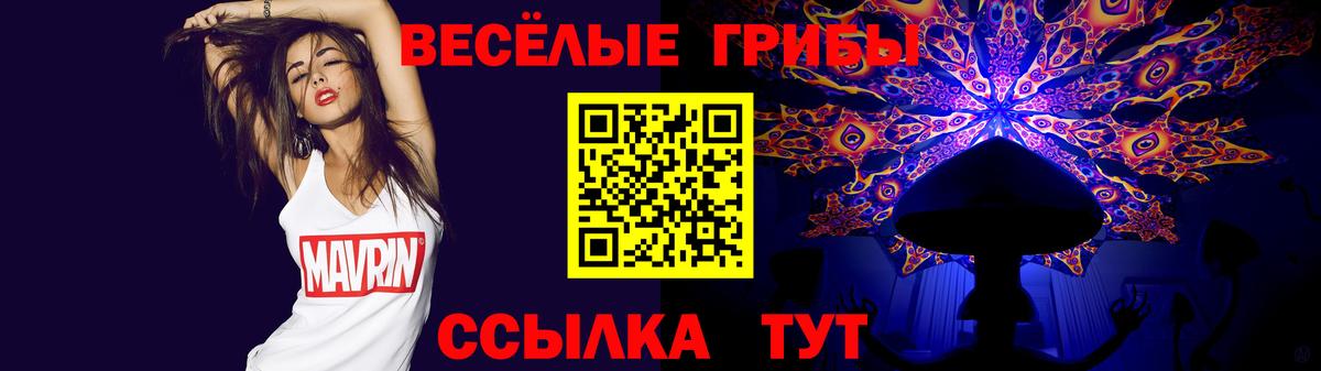Галлюциногенные грибы GOLDEN TEACHER Белорецк